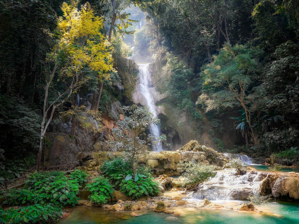 cookie therapy laos