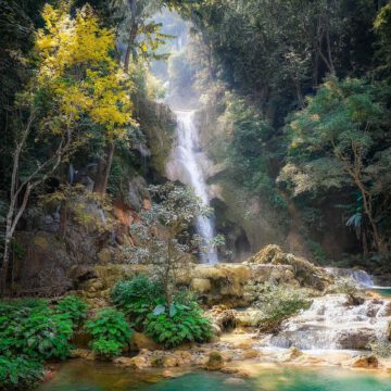 cookie therapy laos